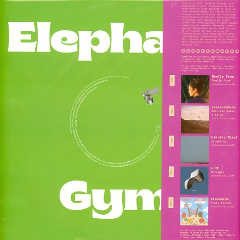 Elephant Gym - Dreams Orange Vinyl Edition