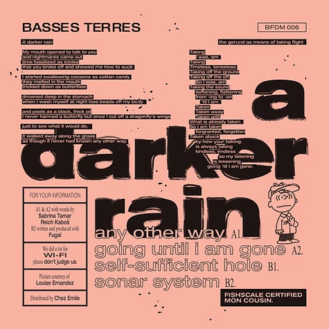 Basses Terres - A Darker Rain