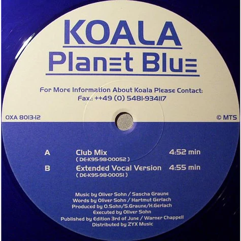 Koala - Planet Blue