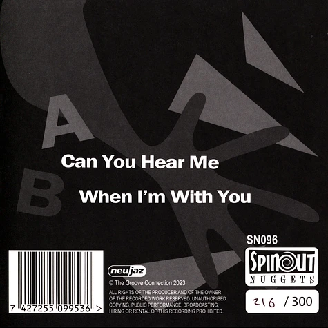 The Groove Connections - Can You Hear Me / When I'm With You