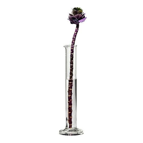 Puebco - Single Flower Vase