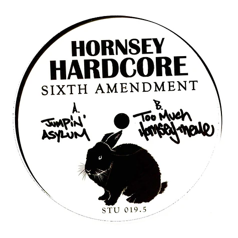 Hornsey Hardcore - Sixth Amendment