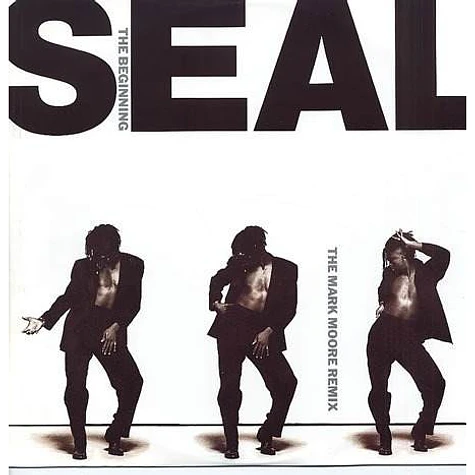 Seal - The Beginning (The Mark Moore Remix)