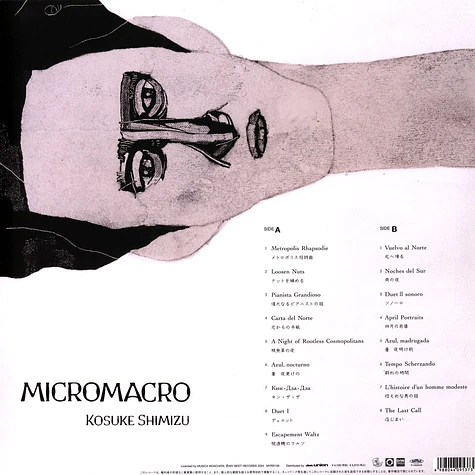 Kosuke Shimizu - Micromacro