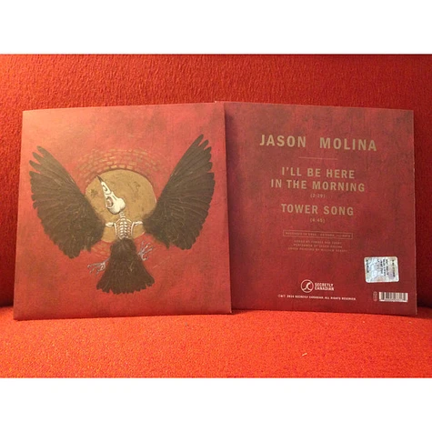 Jason Molina - The Townes Van Zandt Covers