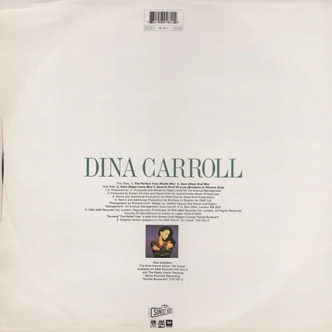 Dina Carroll - The Perfect Year