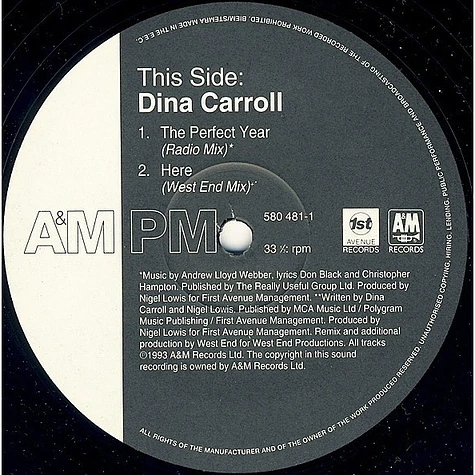 Dina Carroll - The Perfect Year
