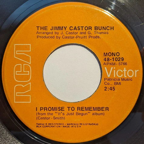 The Jimmy Castor Bunch - Troglodyte (Cave Man) / I Promise To Remember