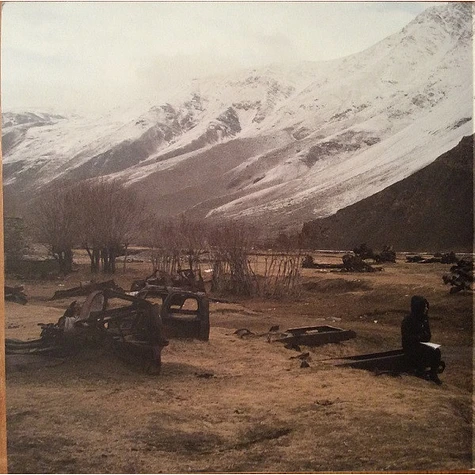 PJ Harvey - The Hope Six Demolition Project - Vinyl LP