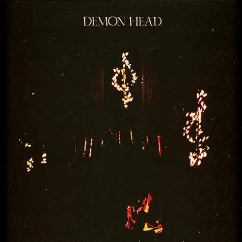 Demon Head - Through Holes Shine The Stars Black Vinyl Edition