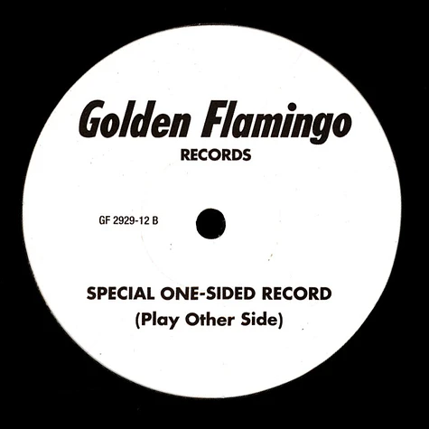 Golden Flamingo Orchestra - Guardian Angel Is Watching Over Us