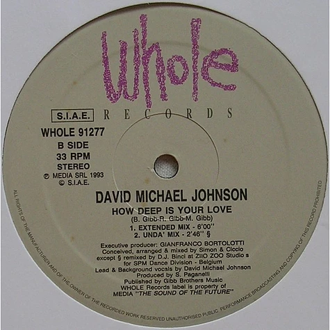 David Michael Johnson - How Deep Is Your Love