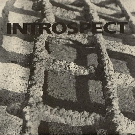 Introspect - Introspect