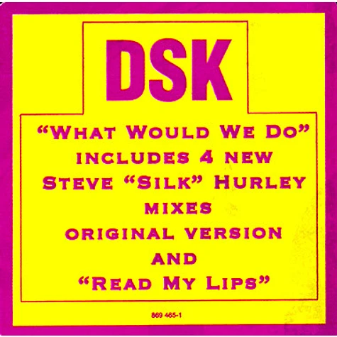 DSK - What Would We Do