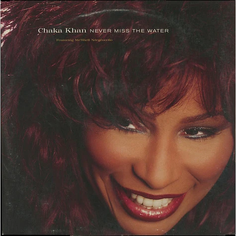 Chaka Khan Featuring Me'Shell NdegéOcello - Never Miss The Water