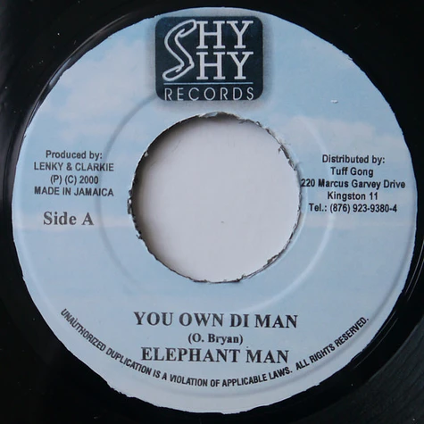 Elephant Man / Zicka P - You Own Di Man / Well Well