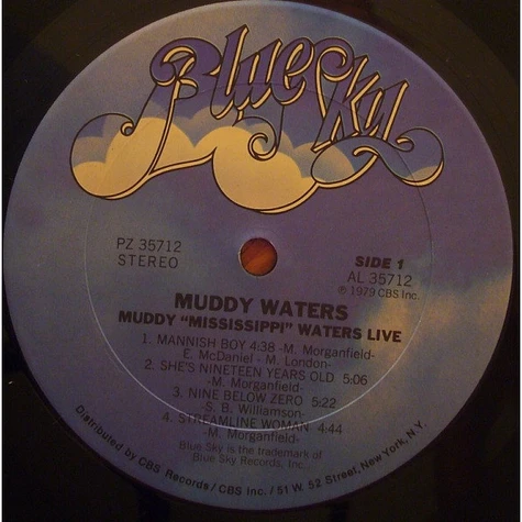 Muddy Waters - Muddy "Mississippi" Waters Live