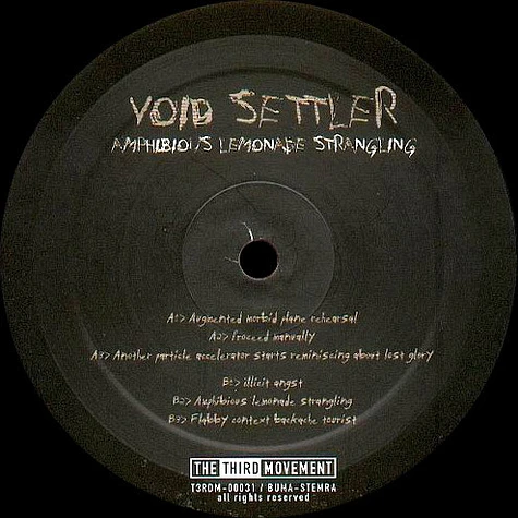 Void Settler / Labyrinth - Amphibious Lemonade Strangling / Deceive The World To Rule The Planet