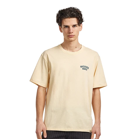 Dickies - Mechanic SS Tee