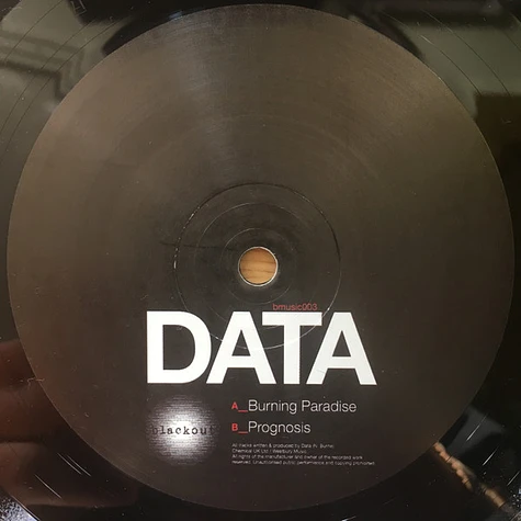 Data - Burning Paradise