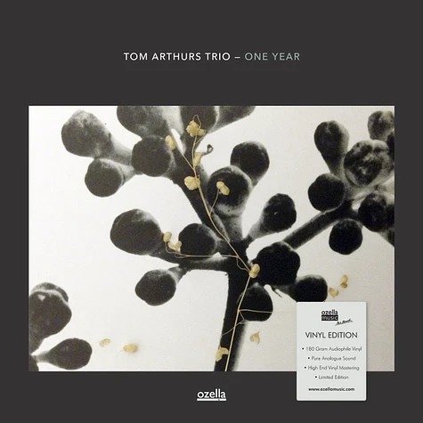 Tom Arthurs Trio - One Year