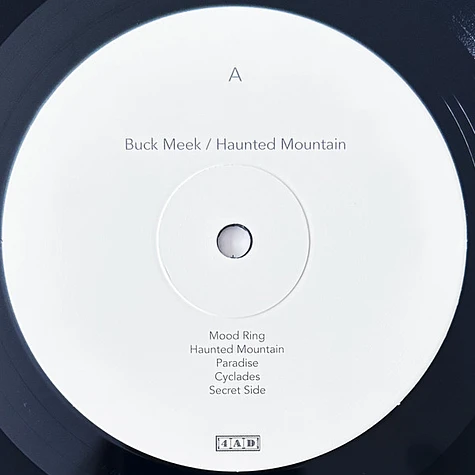 Buck Meek - Haunted Mountain