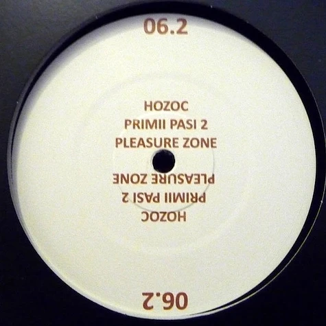 Hozoc - Primii Pasi 2