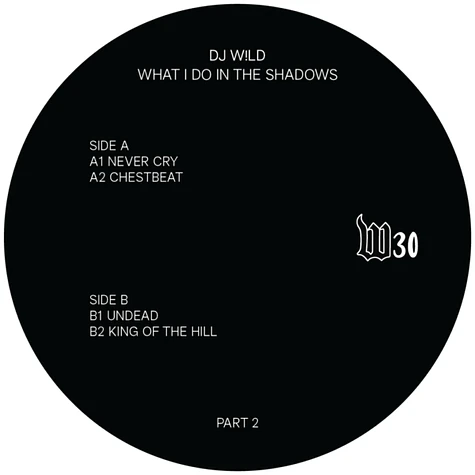 DJ Wild - What I Do In The Shadows Part 2