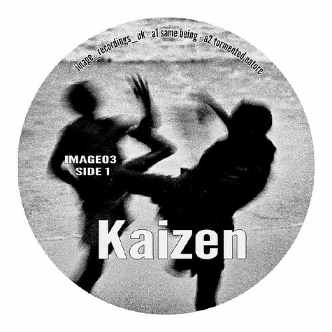 Other - Kaizen