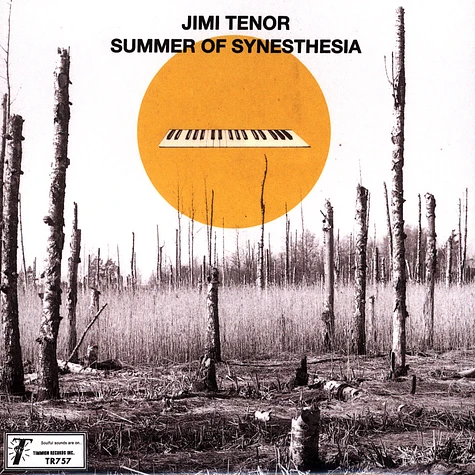 Jimi & Cold Diamond & Mink Tenor - Summer Of Synesthesia Black Vinyl Edition