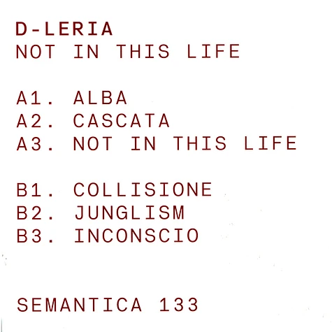 D-Leria - Not In This Life