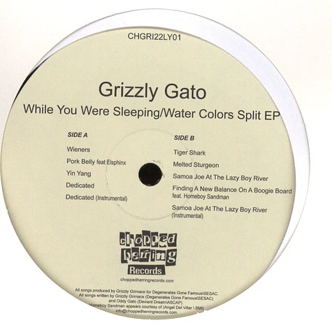 Grizzly Gato - While You Were Sleeping / Water Colors Split EP