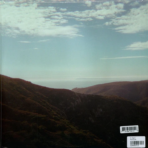 Ty Segall - Possession
