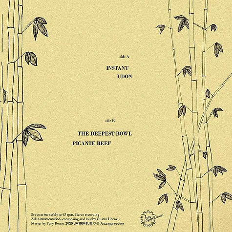 Organic Pulse Ensemble - Bamboo Noodles