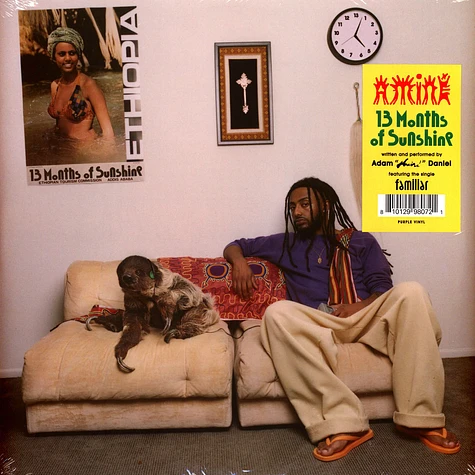Aminé - 13 Months Of Sunshine Purple Vinyl Edition - Vinyl 2LP