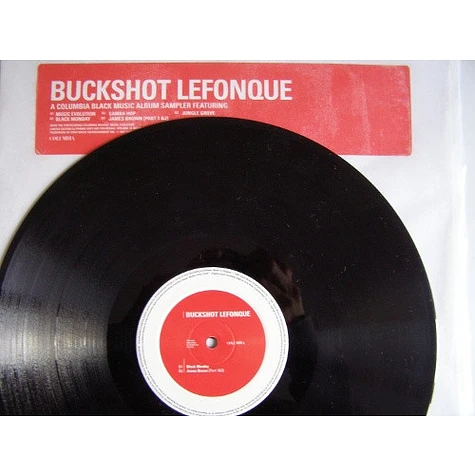 Buckshot LeFonque - Music Evolution - Vinyl 12