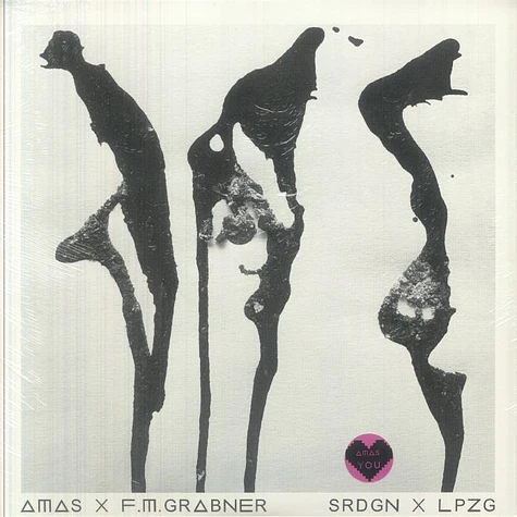 Amas X F.M. Grabner - Srdgn X Lpzg