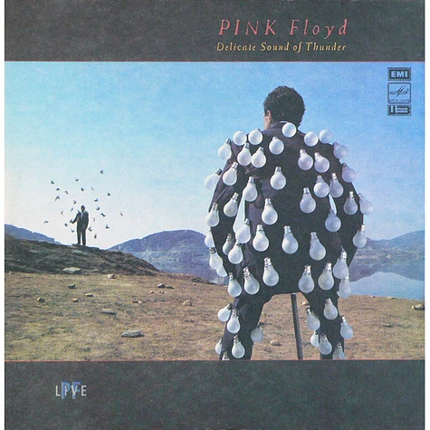 Pink Floyd - Delicate Sound Of Thunder - Vinyl 2LP - 1990 - EU