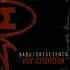 Babu / Rakaa-Iriscience - Pay Attention