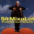 Sir Mix-A-Lot - Baby got back