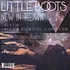 Little Boots - New In Town