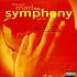 Marley Marl Featuring Masta Ace, Craig G, Big Daddy Kane, Kool G Rap And Little Daddy Shane - The Symphony, Pt. II