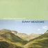 Sunny Meadows - Float Afronaut In Space