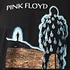 Pink Floyd - Delicate Sound of Thunder T-Shirt