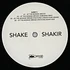 Anthony “Shake” Shakir - At The Bonnie Brook