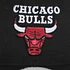 New Era - Chicago Bulls Basic Umpire Team Cap