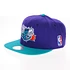 Mitchell & Ness - Charlotte Hornets NBA Basic Solid Team Snapback Cap