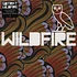 SBTRKT - Wildfire