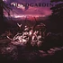 Soundgarden - King Animal Demos