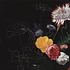 Sabir Mateen / Sirone / Andrew Barker - Infinite Flowers